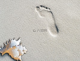 海灘,沙,夏季