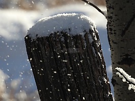 冬天,籬笆開機自檢,雪
