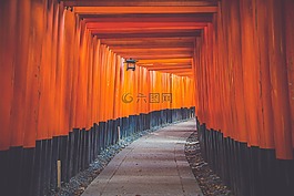 結構,藝術,光明