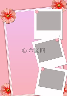 背景,背景的照片,框架