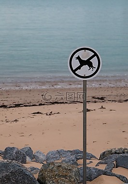 禁止狗,海灘,盾