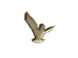 貓頭鷹,標(biāo)志,不干膠標(biāo)簽