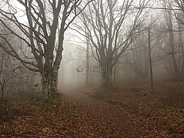 hartmannswillerkopf,孚日,阿爾薩斯