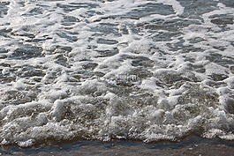 水,海灘,假期