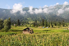上午,kel,山
