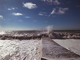 海,潮,海鷗