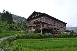中國,旅行,梯田