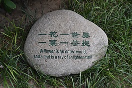 和平,花,葉