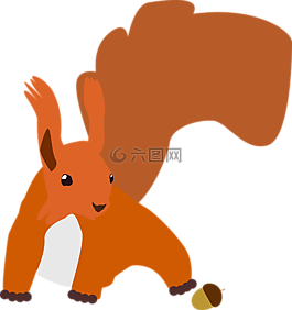 松鼠,nager,秋季