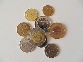 硬幣,波蘭語(yǔ),貨幣