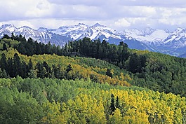 山,秋天,葉子