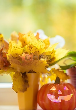 萬圣節(jié),南瓜,葉子
