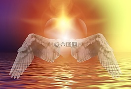 心臟,翼,明星
