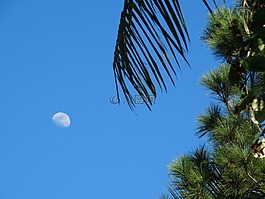 卡宴,法屬圭亞那,性質(zhì)