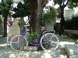 自行車(chē),鮮花,年份