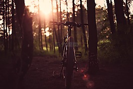 自行車,黑暗,景觀