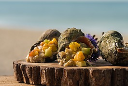 rapana,食品,海灘