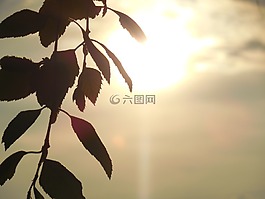 壁紙,側(cè)影,背景