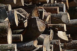 holzstapel,樹(shù)干,木