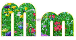 米,信,字母表