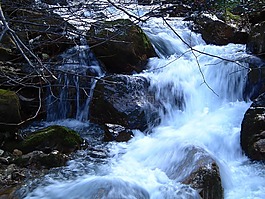 溪,自然,水