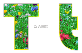 t,信,字母表