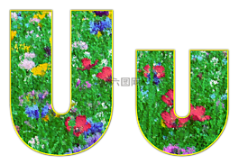 在,信,字母表