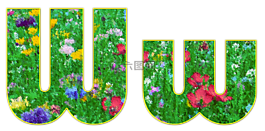 在,信,字母表