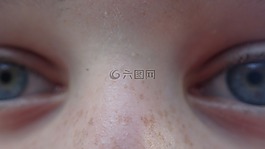 臉,男子,鼻子