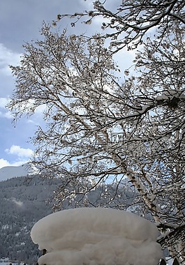 雪,冬天,白