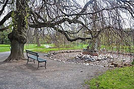 長凳,公園,戶外