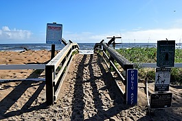 海灘訪問,走道,海灘