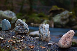 石頭,日志,線