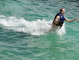 海豚,踩水,游泳