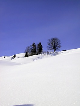 冬天,雪,寒冬