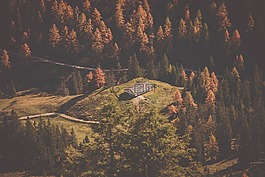森林,房子,景区