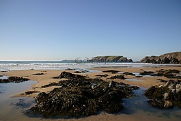海灘,夏天,假日