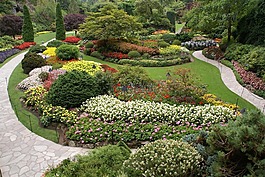 寶翠,植物園,布查特花園