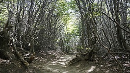 阿根廷,丘布特,巴塔哥尼亞