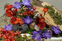 鮮花,木,沙