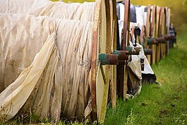 農(nóng)業(yè),輥,保護(hù)