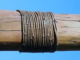 樹干,繩,環(huán)