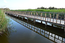 表 daimiel,水,皇家城市