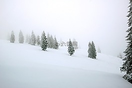 雪,冬天,冷