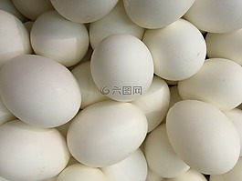 鵝蛋,鵝雞蛋,復(fù)活節(jié)彩蛋