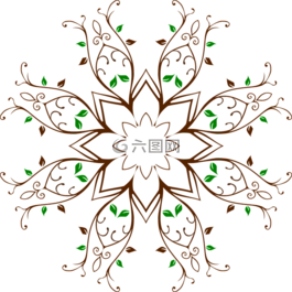 蓬勃發(fā)展,葡萄藤,葉子