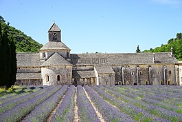修道院,阿比,巴黎圣母院 de sénanque