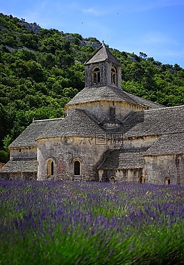 修道院sénanque,修道院,阿比