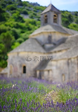 修道院sénanque,修道院,阿比