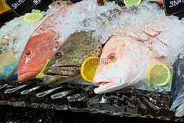 魚,海鮮,晚餐